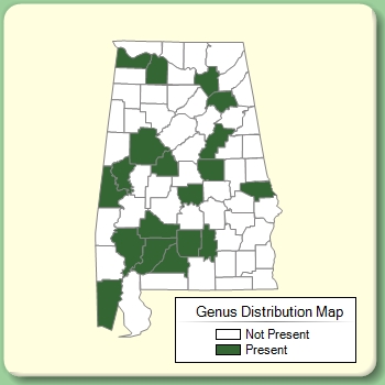 Genus Distribution Map