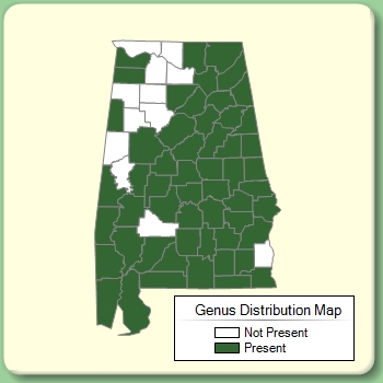 Genus Distribution Map