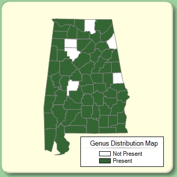 Genus Distribution Map