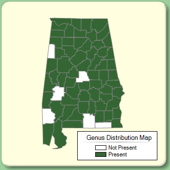 Genus Distribution Map