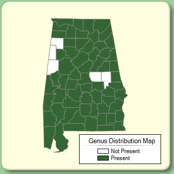 Genus Distribution Map