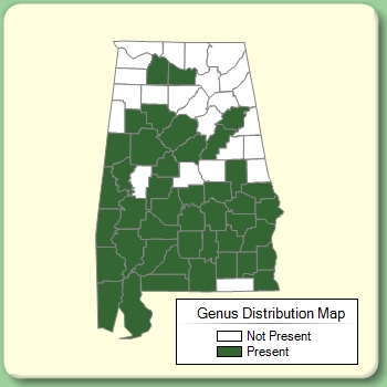 Genus Distribution Map