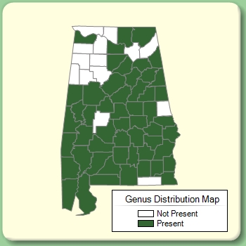 Genus Distribution Map