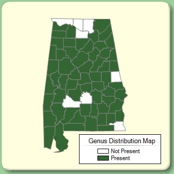 Genus Distribution Map