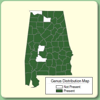 Genus Distribution Map