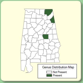 Genus Distribution Map