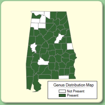 Genus Distribution Map