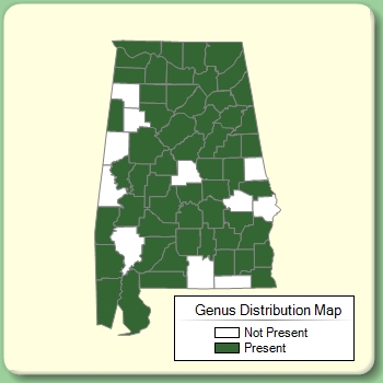 Genus Distribution Map