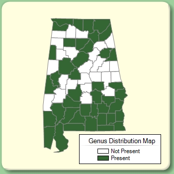 Genus Distribution Map