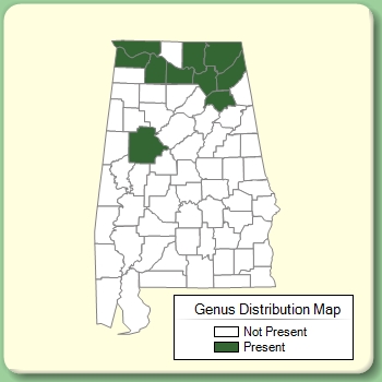 Genus Distribution Map