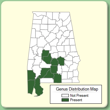 Genus Distribution Map