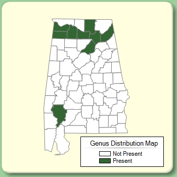 Genus Distribution Map