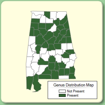 Genus Distribution Map