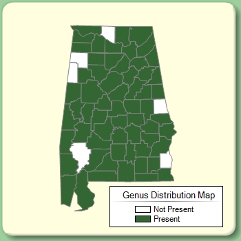 Genus Distribution Map