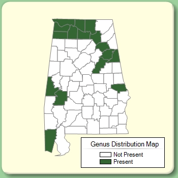 Genus Distribution Map