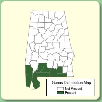 Genus Distribution Map