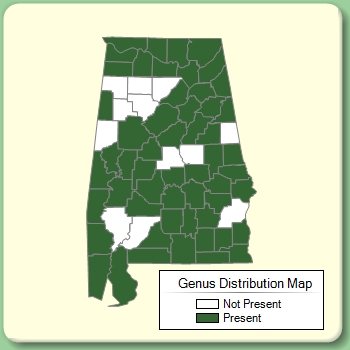 Genus Distribution Map