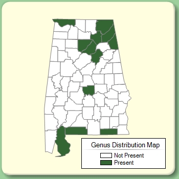 Genus Distribution Map