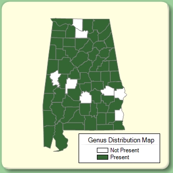 Genus Distribution Map