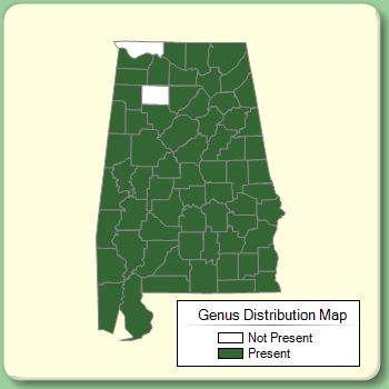 Genus Distribution Map