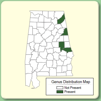 Genus Distribution Map