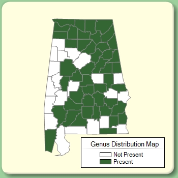 Genus Distribution Map