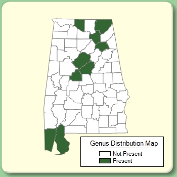 Genus Distribution Map