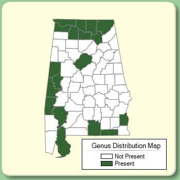 Genus Distribution Map