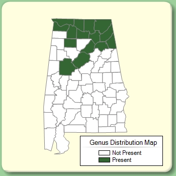 Genus Distribution Map