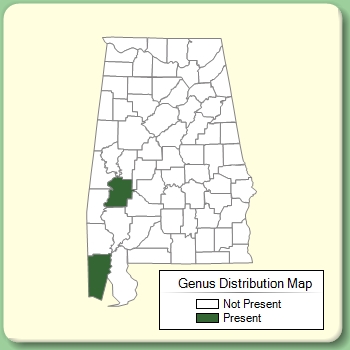 Genus Distribution Map