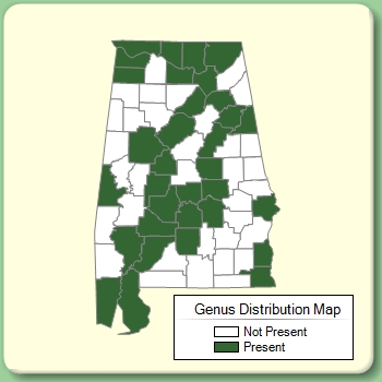 Genus Distribution Map