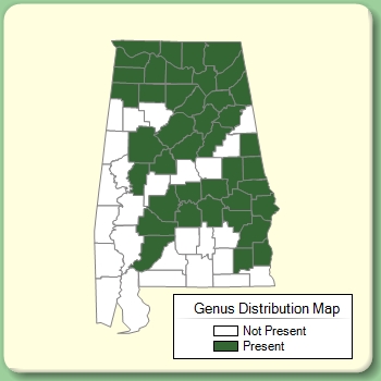 Genus Distribution Map