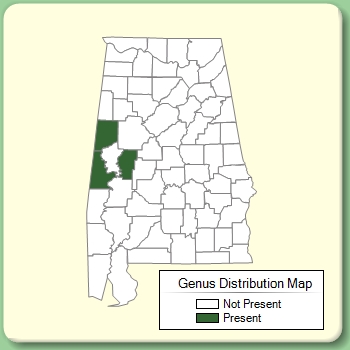 Genus Distribution Map