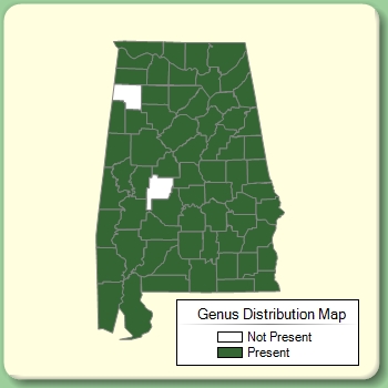 Genus Distribution Map