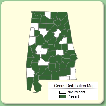 Genus Distribution Map