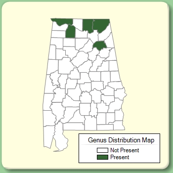 Genus Distribution Map