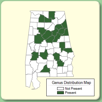 Genus Distribution Map