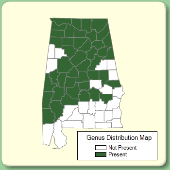 Genus Distribution Map