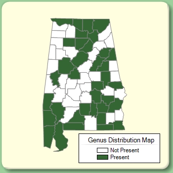 Genus Distribution Map