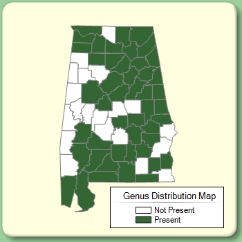 Genus Distribution Map