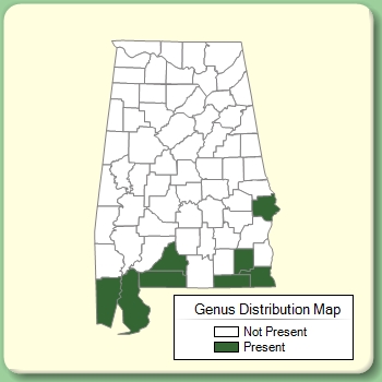 Genus Distribution Map