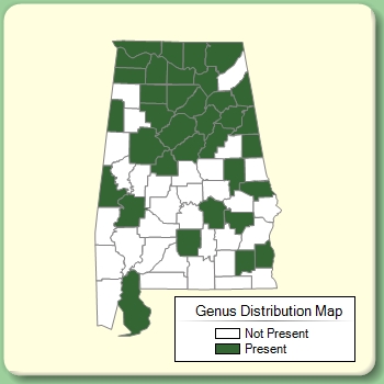 Genus Distribution Map