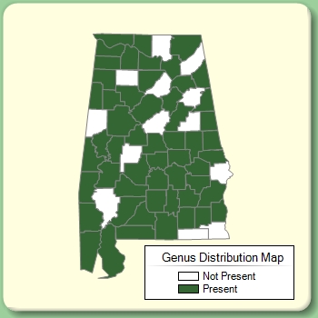 Genus Distribution Map