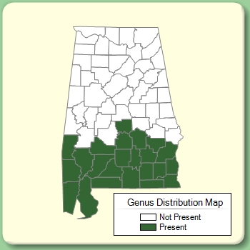 Genus Distribution Map