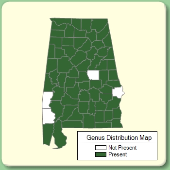 Genus Distribution Map