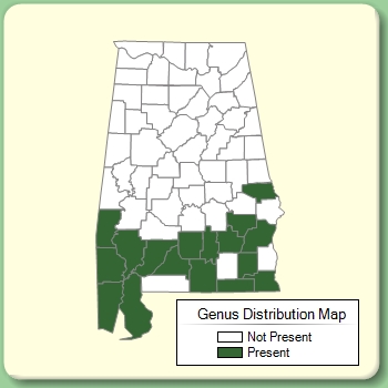 Genus Distribution Map