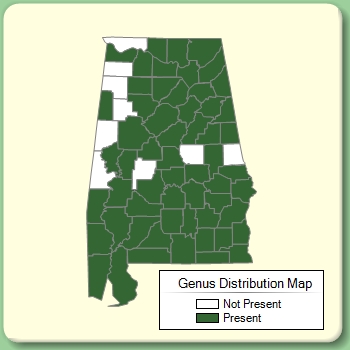 Genus Distribution Map