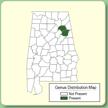 Genus Distribution Map