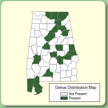 Genus Distribution Map