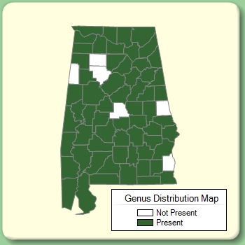 Genus Distribution Map